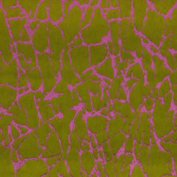 Toon details voor Dance 43 Care & Clean Afbeelding van Dance 43 Care & Clean